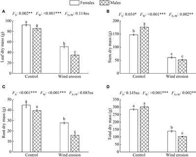 Salix gordejevii females exhibit more resistance against wind erosion than males under aeolian environment